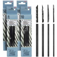 Vine Charcoal Sticks, 4 Pack Willow Charcoal Pencils for Artists Drawing (48 PCS)