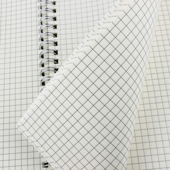 graphing notebook